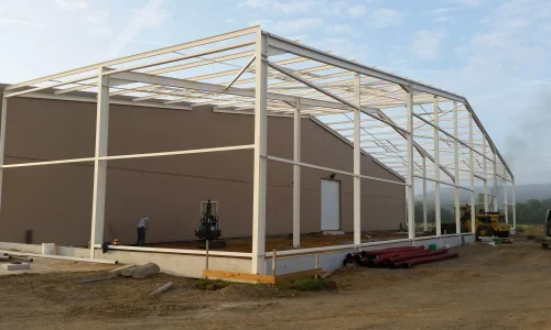 construction vegetal techno